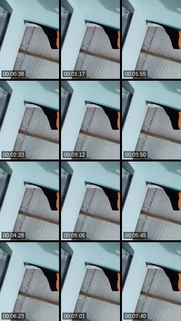 fully preview